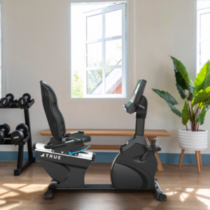 TRUE PERFORMANCE SERIES RECUMBENT BIKE W/ TRANSCEND CONSOLE