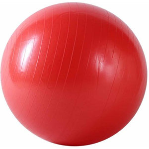 LIFE SPORT 55 CM BALL