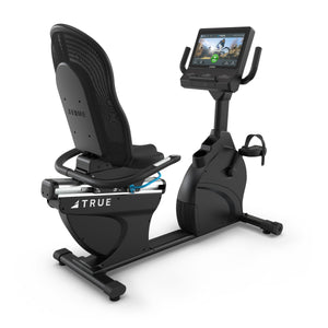 TRUE PERFORMANCE SERIES RECUMBENT BIKE