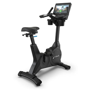 TRUE PERFORMANCE SERIES UPRIGHT BIKE